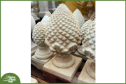 Pigna AFRICA 129,00€