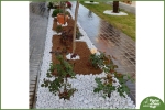 Ciottoli Bianco Carrara in BUSTE 