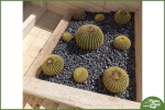 Ciottoli da Giardino Nero Ebano