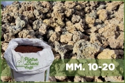 Brown mm. 10-20  299,00€