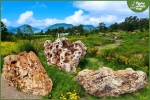 Rocce da Giardino Grandi