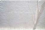 Scoppato Bianco Assoluto