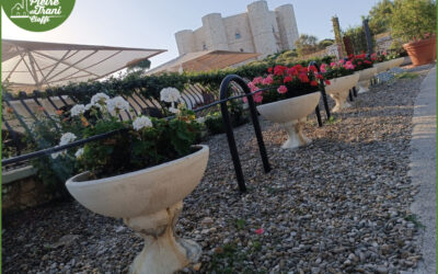 Ciottoli Da giardino Cioffi Pietre di Trani