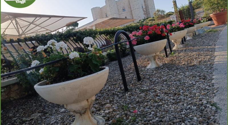 Ciottoli Da giardino Cioffi Pietre di Trani